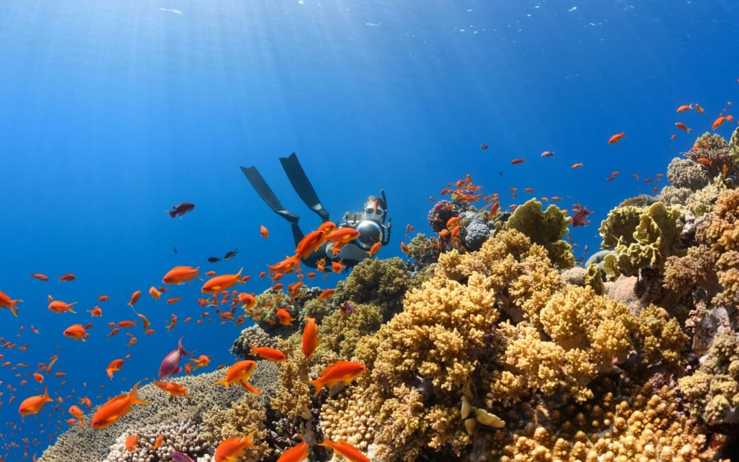 5 Recommendations for Diving Spots in Bali