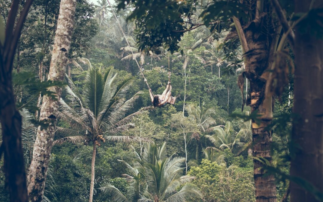 Enjoy the beauty of nature and the Insta-worthy Bali Swing while getting your pulse racing