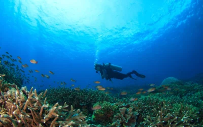 3 Popular and Best Diving Spots in Denpasar